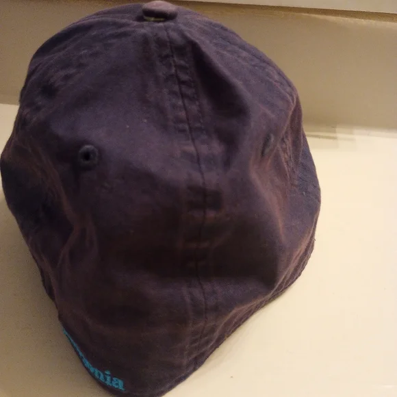 Patagonia Fitz Roy Trout Men's Flex Fit Hat - Picture 5 of 10